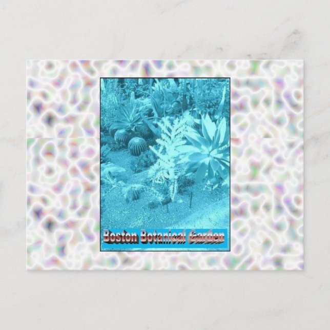 Botanischer Garten Postkarte (Vorderseite)