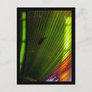 Botanischer Garten Postkarte