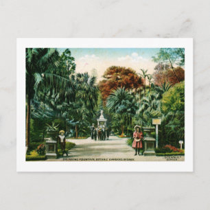 Botanischer Garten, Sydney, Australien Vintag Postkarte
