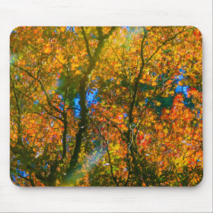 Botanischer Garten VanDusen Vancouver, Kanada Mousepad