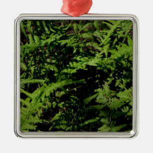 Botanischer grüner Waldboden Ferns Ornament Aus Metall