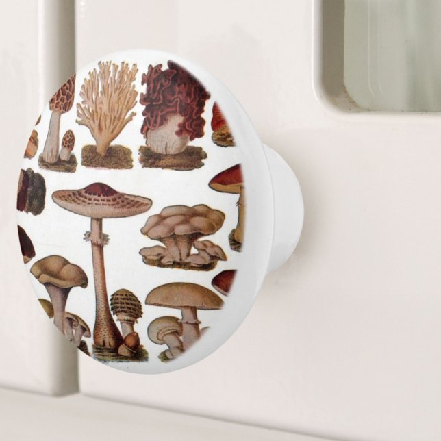 Botanischer Holzdruck Vintager Pilz Keramikknauf (Woodland botanical print vintage mushroom ceramic knob)