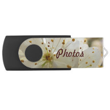 Botanischer Impressionist Wild Plum Blume und Name