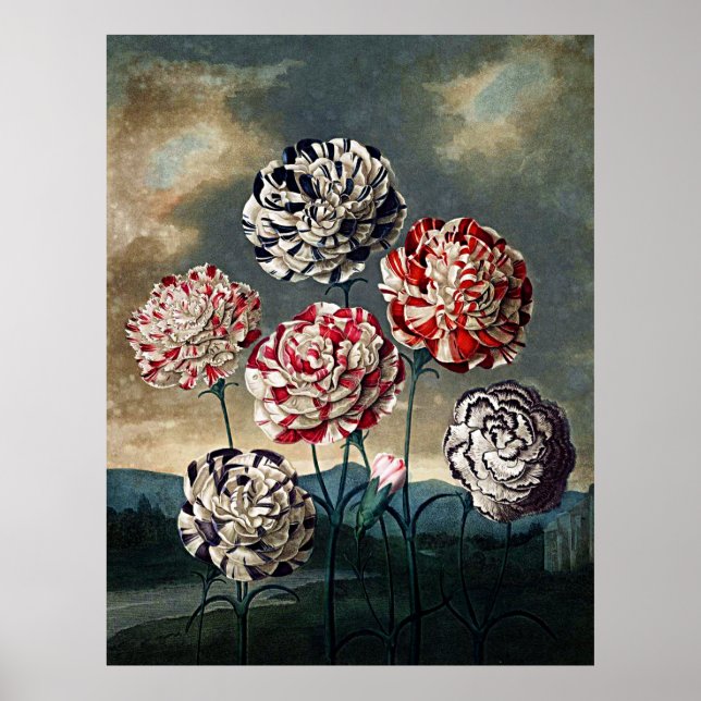 Botanischer Kunsttempel Poster (Vorne)