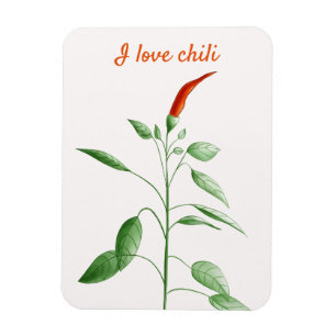 Botanischer Liebe-Chili für die Pflanze "Eigener Magnet