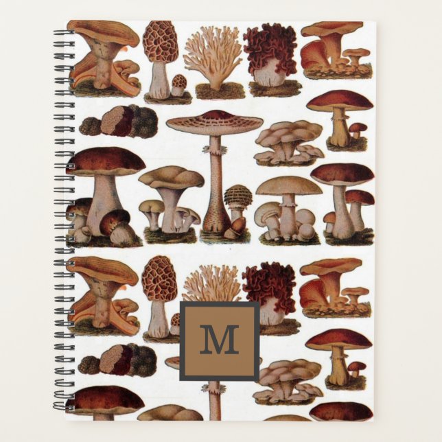 Botanischer Pilz aus Vintagem Holz Planer (Vorderseite)
