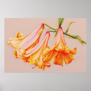 Botanischer Plakatdruck "der Lilien" schönen Kunst Poster