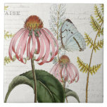 Botanischer Schmetterling Pink Wildblume Fern Vint Fliese<br><div class="desc">#3 von 5 koordinierenden Kacheloptionen. Hellblaue,  winzige Bergschmetterlinge und eine rosa Echinacea Wildblume bilden die zentrale Bühne in dieser Collage mit Schrift-Handschrift-Ephemeriden und antiken Werbebildern über einen weichen,  Elfenbeinhintergrund. Collage erstellt und grafisch entworfen von international lizenzierten Künstler und Designer,  Audrey Jeanne Roberts,  Copyright.</div>