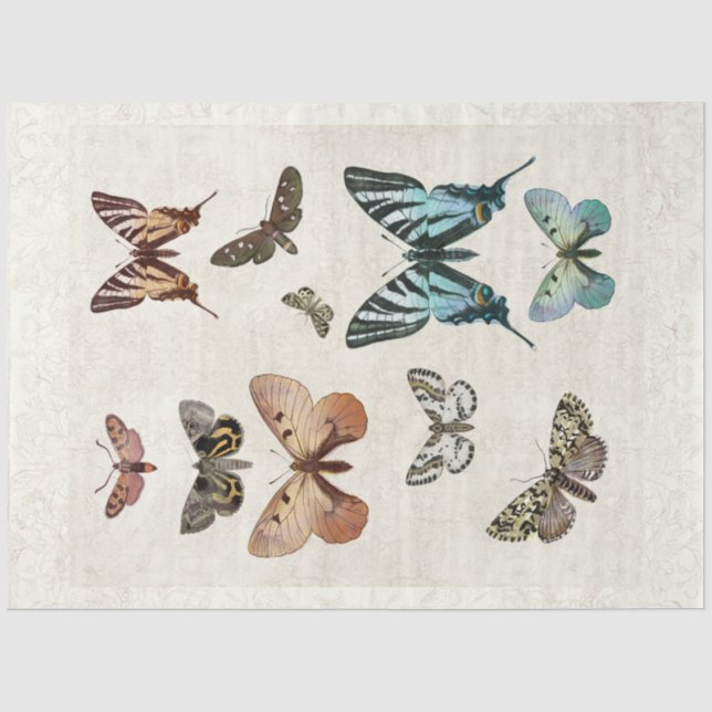 Botanischer Schmetterling Vintager Blaupfirsichtsc Seidenpapier (Vorderseite)