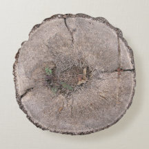 Botanischer Schnitt Palme Tree Bark Foto Rundkisse