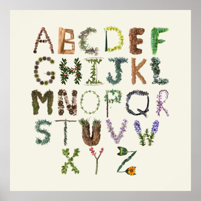 Botanisches Alphabet - Natur ABC Phonetisch Poster (Vorne)