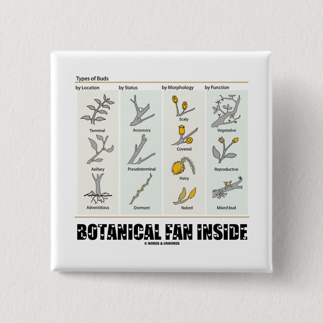 Botanisches Fan-Innere (Arten der Knospen) Button (Vorderseite)