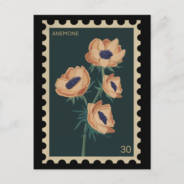 Botanisches florales Anemon - Winde Postkarte (Vorderseite)