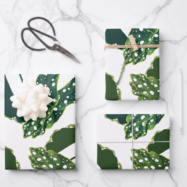 Botanisches Gepunktetes Begonia Blätter Wrapping P (Vorderseite)