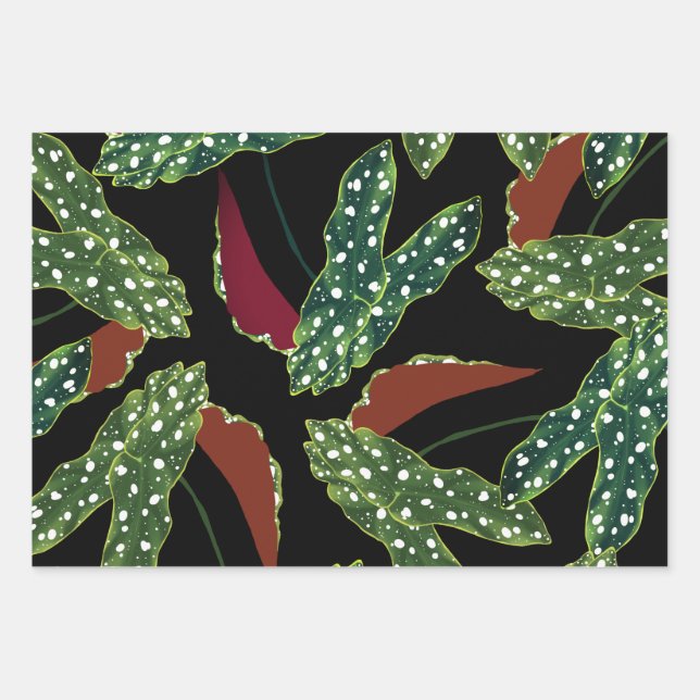 Botanisches Gepunktetes Begonia Blätter Wrapping P (Vorderseite)
