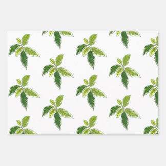 Botanisches Geschenkpapier Set