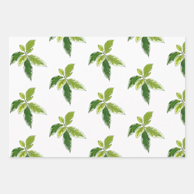 Botanisches Geschenkpapier Set (Vorderseite)