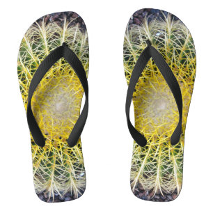 Botanisches Globe Cactus Pflanze Foto Flip Flops