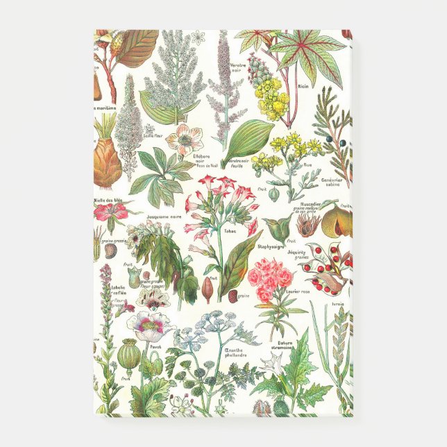 Botanisches Illustrationen-Larousse Pflanzen Post-it Klebezettel (Vorderseite)