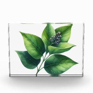 Botanisches Leaf und Blüten Fotoblock