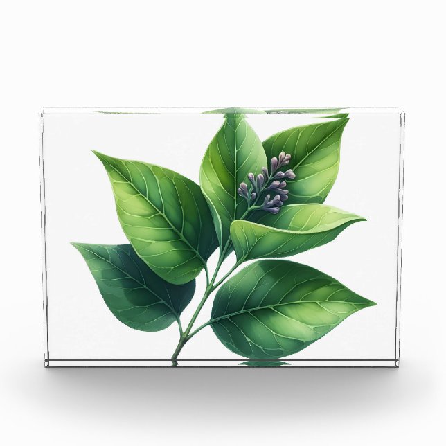 Botanisches Leaf und Blüten Fotoblock (Vorderseite)