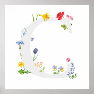botanisches Monogramm-Alphabet c Wildblumen Poster
