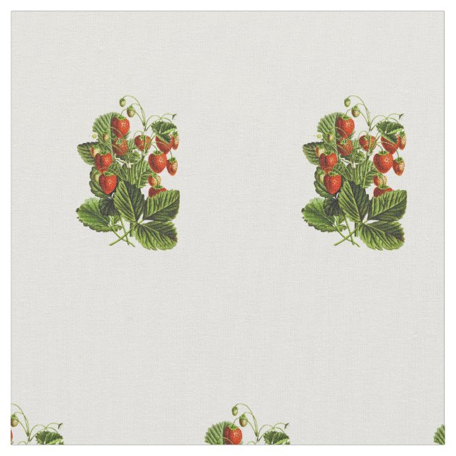 Botanisches Muster der niedlichen Wildbeere Stoff (Nahaufnahme)