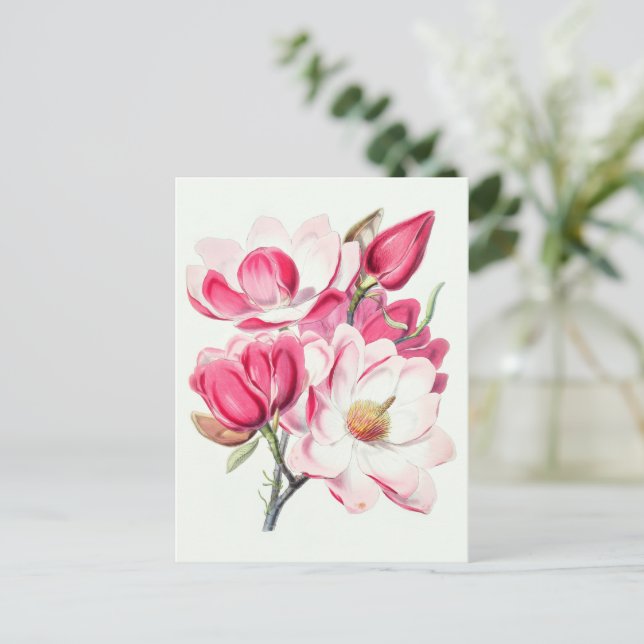 Botanisches Rosa Blume Postkarte (Stehend Vorderseite)