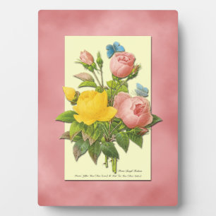 Botanisches Rosa Gelbe Rosen Fotoplatte
