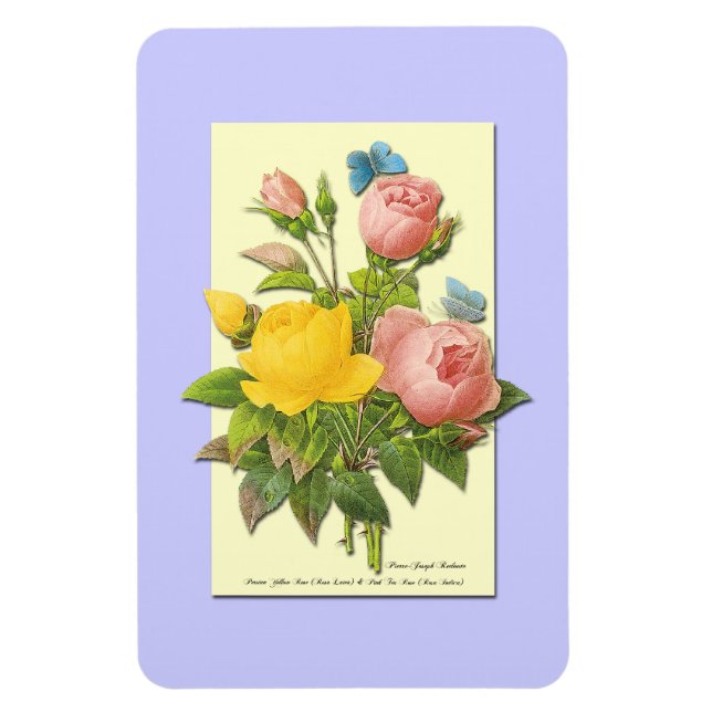 Botanisches Rosa Gelbe Rosen Magnet (Vertikal)