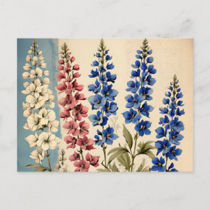 Botanisches Rustikales Delphinium Postkarte