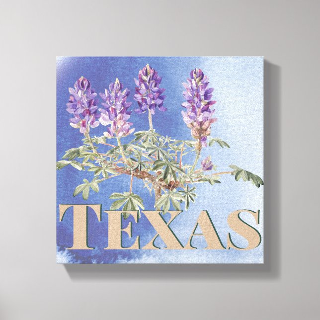 Botanisches Texas Bluebonnet 2 Leinwanddruck (Vorderseite)