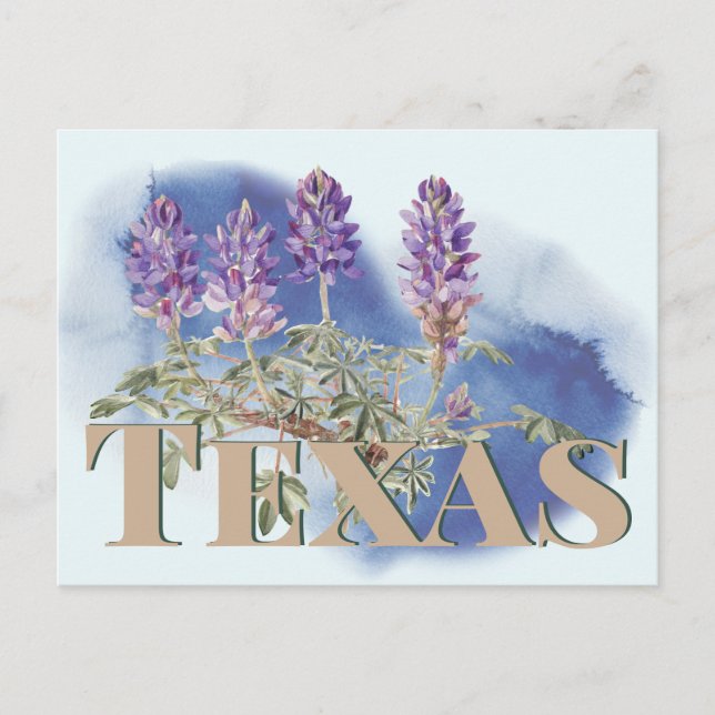 Botanisches Texas Bluebonnet 2 Postkarte (Vorderseite)