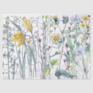 Botanisches Tulpe-Blumen-Wildblumen-Seidenpapier Seidenpapier
