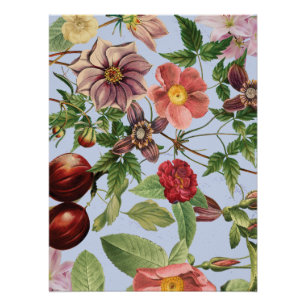 Botanisches Vintage-Design Poster