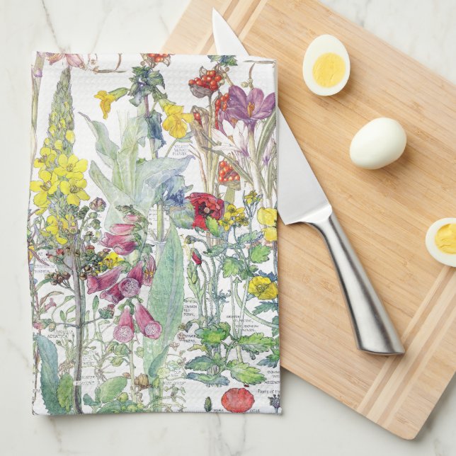 Botanisches Wildblume-Blumen-Küchen-Tuch Geschirrtuch (Viertel Falte)