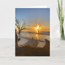 Botany Bay Sunrise #1 Grußkarte (innen leer)