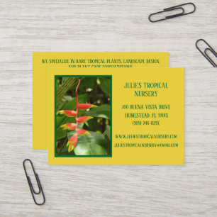 Botany Green Pflanze Kinderzimmer Tropische Pflanz Visitenkarte