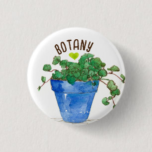 Botany Liebe Gotu Kola Herb Topted Pflanze Blau Button