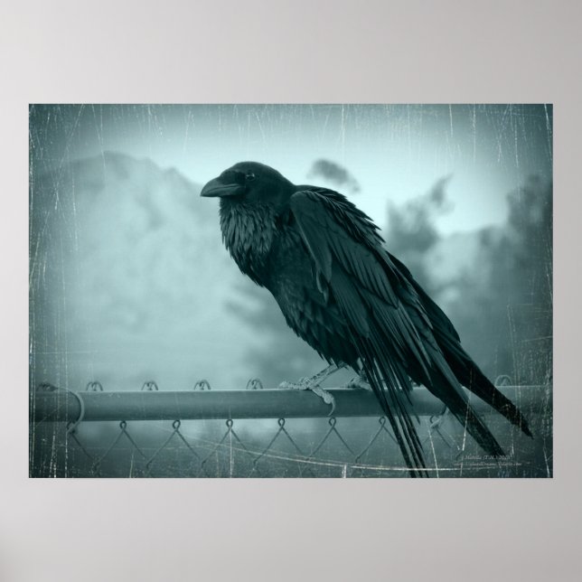 Bote Poster (Vorne)