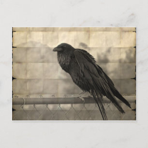 Bote (Vintage) Postkarte