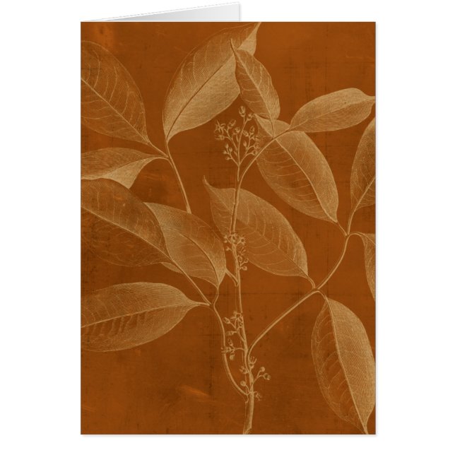 Botnie VI moderne (Devant)