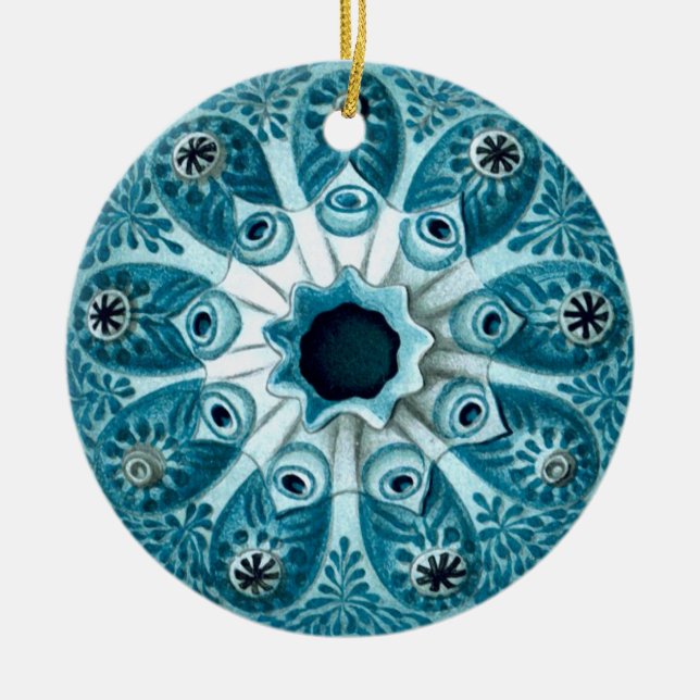 Botryllus polycyclus Ernst Haeckel Kunstwerke Keramik Ornament (Vorne)