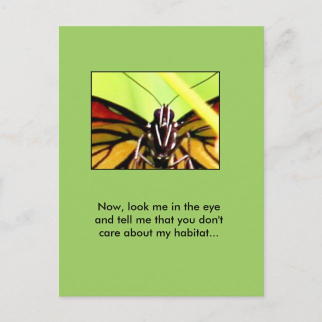 Botschaft des Monarchen Postkarte (Vorderseite)