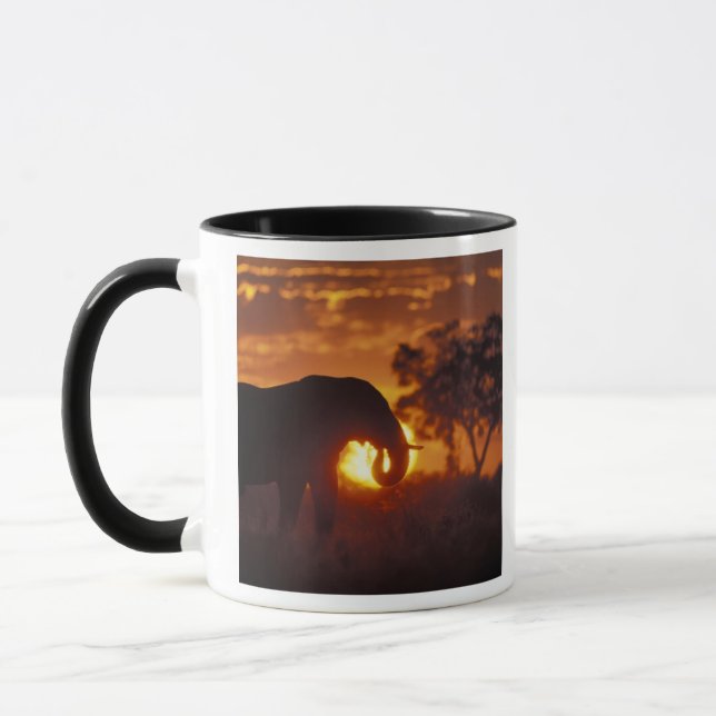 Botsuana, Chobe National Park, Bull Elephant Tasse (Links)