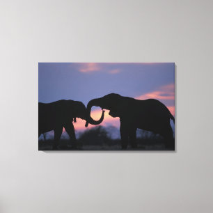 Botsuana, Chobe National Park, Elefanten Leinwanddruck