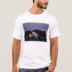 Botsuana, Chobe National Park, Elefanten T-Shirt