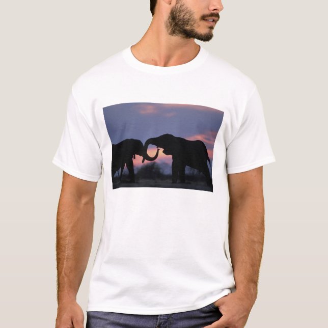 Botsuana, Chobe National Park, Elefanten T-Shirt (Vorderseite)