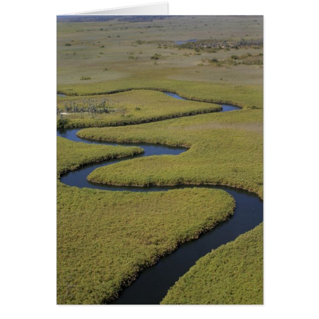 Botswana, Afrika. Arial Blick Okavango Fluss. (Vorne)
