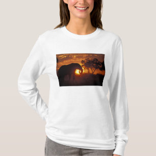 Botswana, Chobe-Nationalpark, Bullen-Elefant T-Shirt